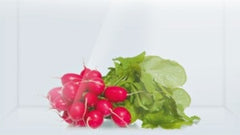 Built-in fridge KIR18V20GB
